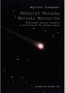 Meteoryt Morasko