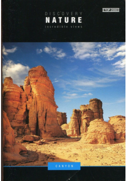 Zeszyt A5 Top-2000 gładki 96 kartek Discovery Nature