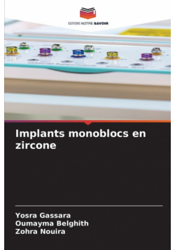 Implants monoblocs en zircone