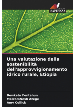 Una valutazione della sostenibilità dell'approvvigionamento idrico rurale, Etiopia
