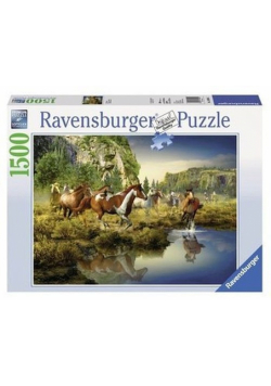 Puzzle 1500 Dzikie konie