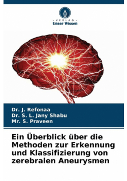 Ein Überblick über die Methoden zur Erkennung und Klassifizierung von zerebralen Aneurysmen