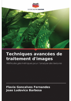 Techniques avancées de traitement d'images