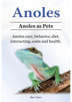 Anoles. Anoles as Pets. Anoles care, behavior, diet, interacting, costs and health.