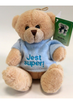 Miś Damian Jest Super 15cm