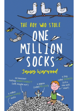 The Boy Who Stole One Million Socks