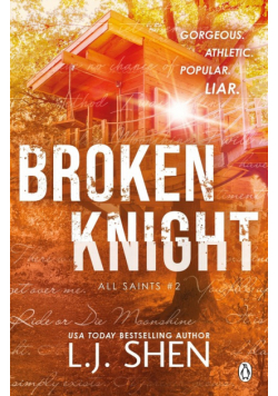 Broken Knight