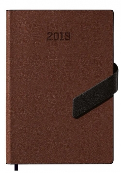 Kalendarz 2019 książkowy A5 brązowy mag. EASY