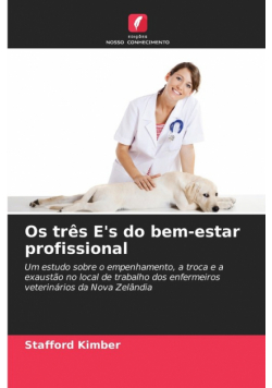 Os três E's do bem-estar profissional