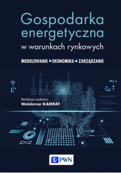 Gospodarka energetyczna w warunkach rynkowych