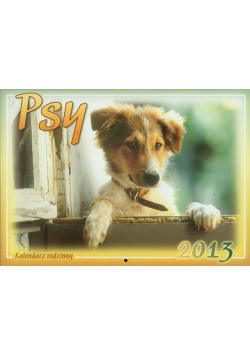 Kalendarz 2013 WL 8 Psy