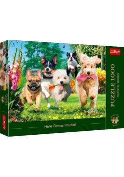 Puzzle 1000 Nadchodzą kłopoty TREFL