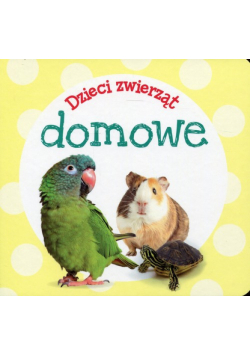 Dzieci zwierząt domowe