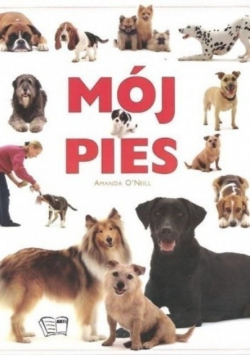 Mój pies