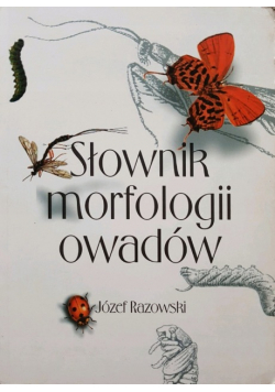 Słownik morfologii owadów