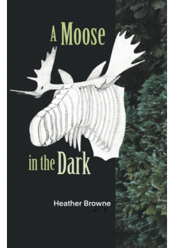 A Moose in the Dark