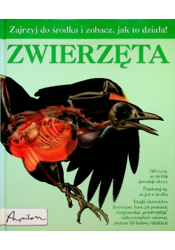 Zwierzeta