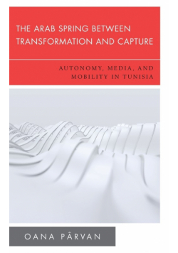 The Arab Spring Between Transformation and Capture