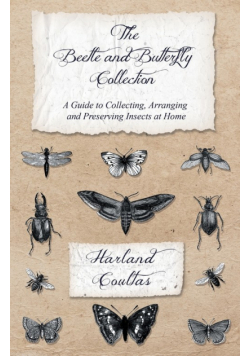 The Beetle and Butterfly Collection - A Guide to Collecting, Arranging and Preserving Insects at Home