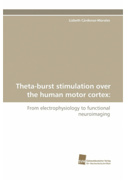 Theta-Burst Stimulation Over the Human Motor Cortex