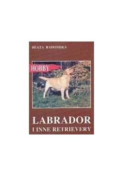 Labrador i inne retrievery