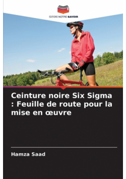 Ceinture noire Six Sigma