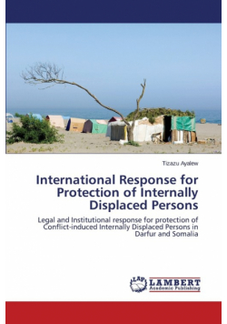 International Response for Protection of Internally Displaced Persons