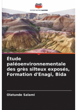 Étude paléoenvironnementale des grès silteux exposés, Formation d'Enagi, Bida