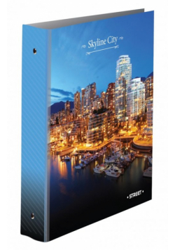 Segregator A4 4 ringi Skyline City Street
