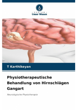 Physiotherapeutische Behandlung von Hirnschlägen Gangart