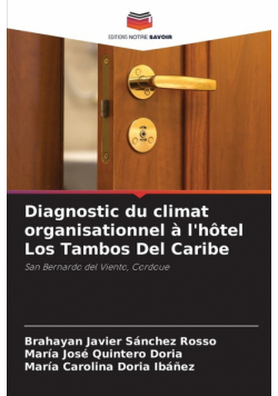 Diagnostic du climat organisationnel à l'hôtel Los Tambos Del Caribe