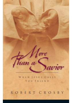 More than a Savior