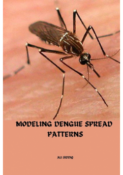 Modeling Dengue spread patterns
