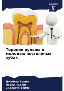 Терапия пульпы в молодых постоянных зубах