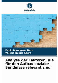 Analyse der Faktoren, die für den Aufbau sozialer Bündnisse relevant sind