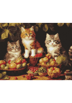 Diamentowa mozaika - Koty i owoce 40x50cm