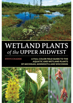 Wetland Plants of the Upper Midwest