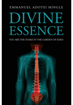 Divine Essence