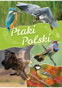 Ptaki Polski