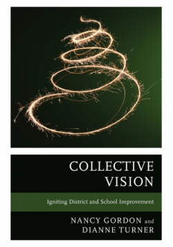 Collective Vision