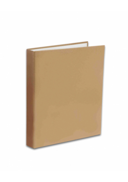Segregator A5/2R Penmate złoty