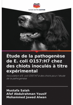 Étude de la pathogenèse de E. coli O157