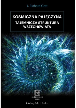 Kosmiczna pajęczyna