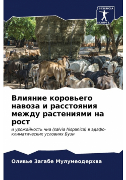 Влияние коровьего навоза и расстояния между растениями на рост