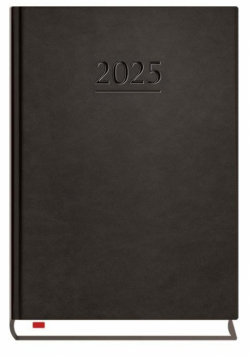 Terminarz 2025 B6 dzienny powszechny czarny