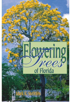 Flowering Trees of Florida