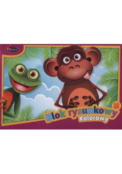 Blok rysunkowy kolorowy A4 16 kartek 10 sztuk