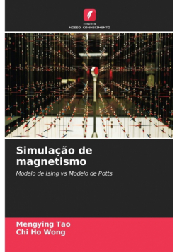 Simulação de magnetismo