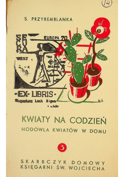 Kwiaty na codzień