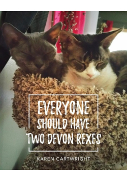 Everyone Should Have Two Devon Rexes